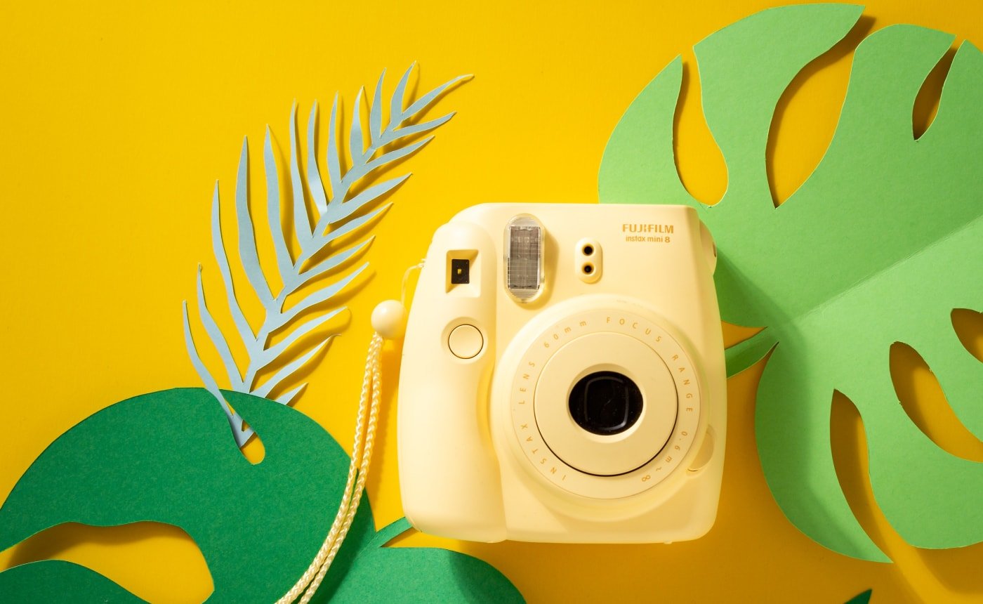 Web Development (No-code)