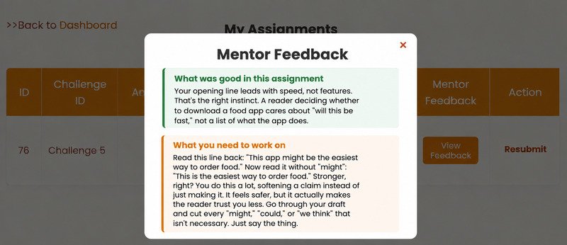 Screenshot of mentor's feedback